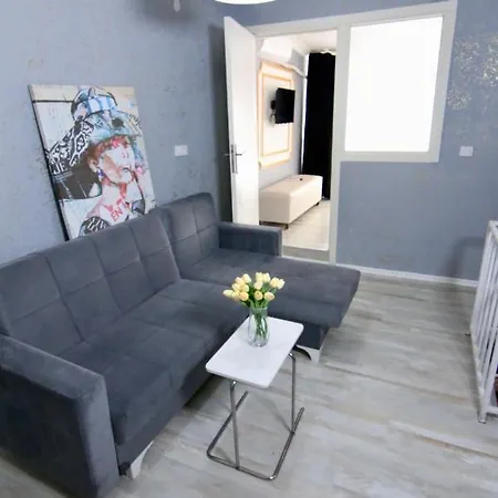 Superior 2br In Galata イスタンブール